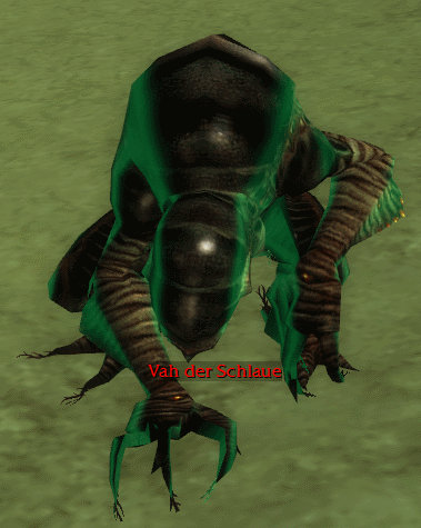 Vah der Schlaue.jpg