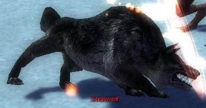 Steinwolf.jpg