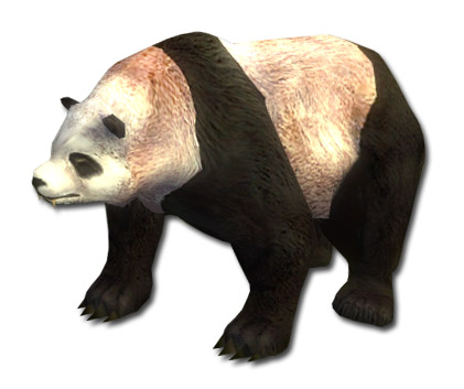 Miniatur-Panda.jpg