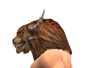 Charr-Kopfbedeckung seite.jpg